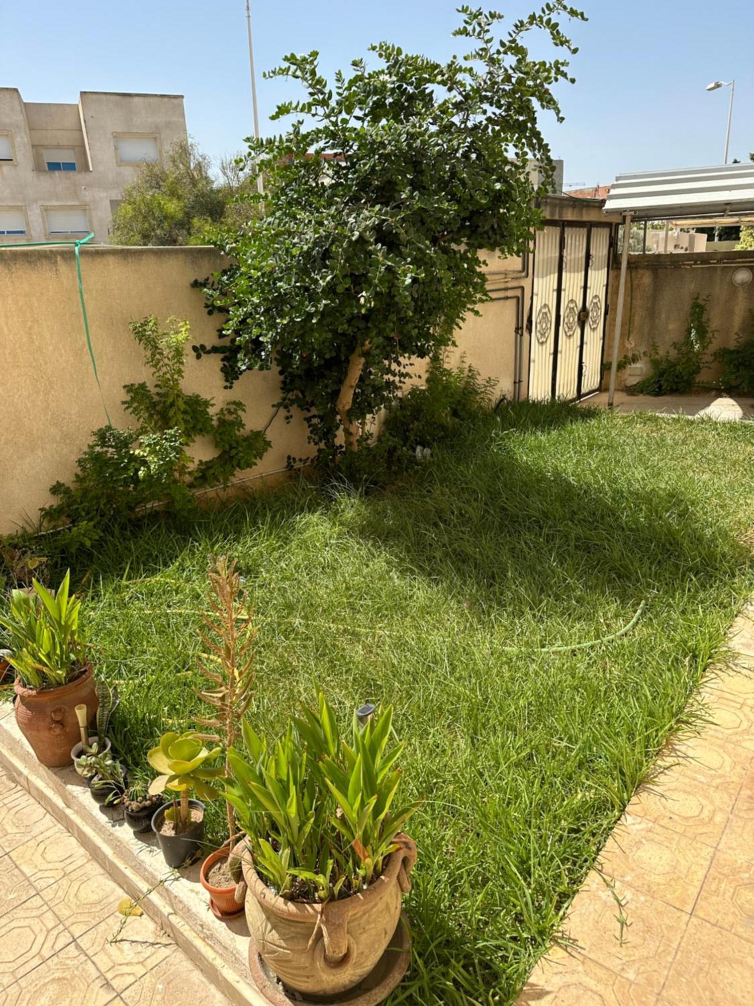 شقة Garden House Jardin De Carthage Sidi Daoud المظهر الخارجي الصورة